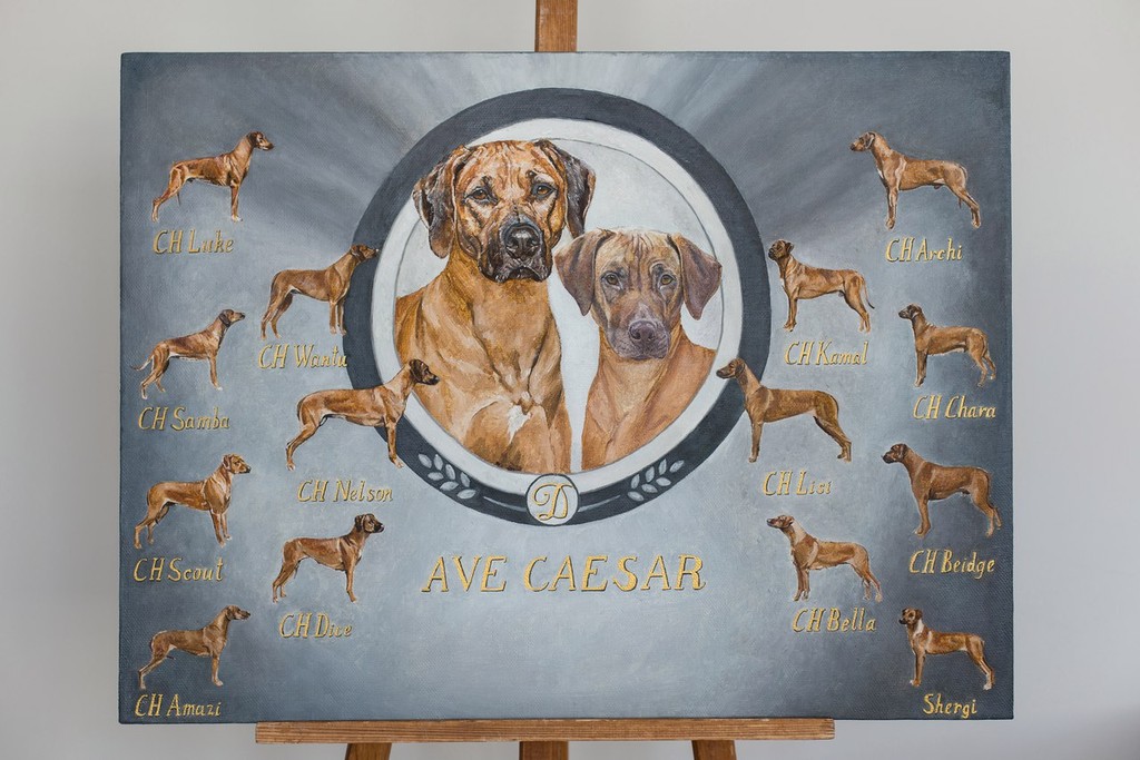 риджбек, собака, рисунок, Анастасия Вавилова