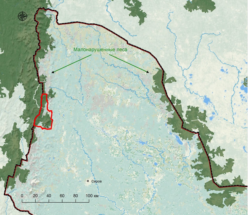 Денежкин камень, заповедник, малонарушенные лесные территории, карта
