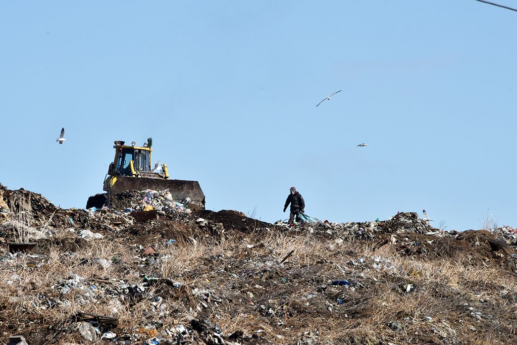 В настоящее время в Свердловской области накоплено от 30 до 50 тонн отходов. Фото: Алексей Кунилов