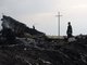 Обломки огромного лайнера рухнули недалеко от села Грабово Донецкой области. Находившиеся на борту 298 человек погибли. На земле,  к счастью, никто не пострадал. Фото РИА «Новости» 