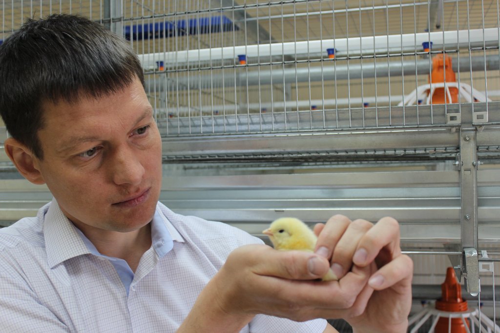 Сергей Бессонов: «В нашей клетке реализована простая идея –  здесь птице должно быть комфортно». Неизвестный фотограф