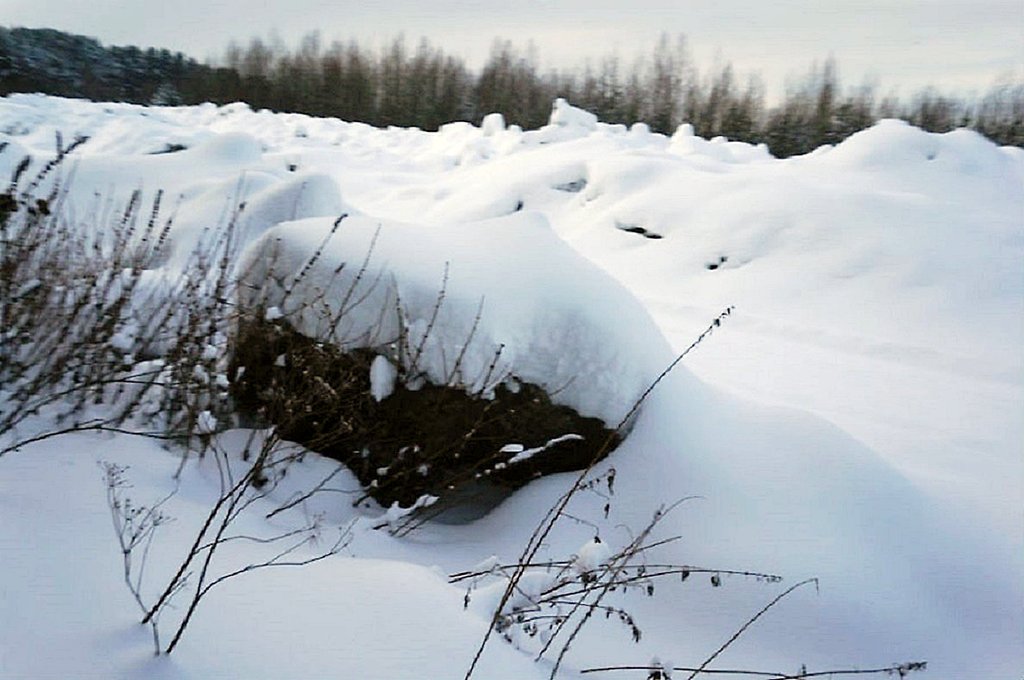 Обледеневшие чёрные куски уже успело засыпать новой порцией снега. Фото:  Анна Неволина