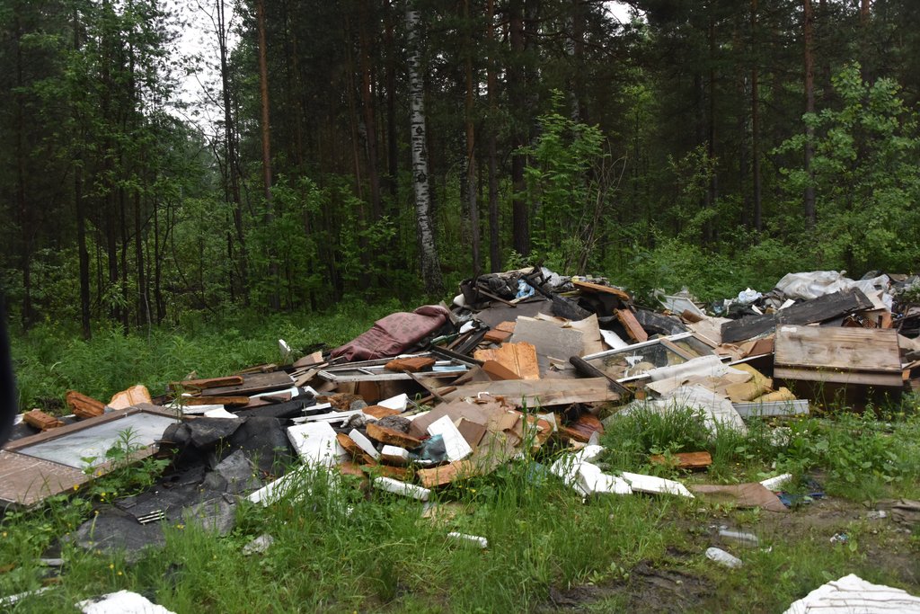 Такими свалками буквально утыканы леса Свердловской области. Фото: Алексей Кунилов