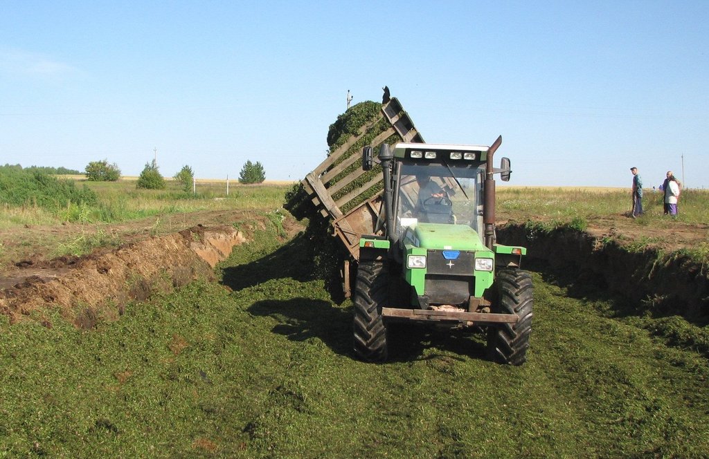 За семь лет действия сельхоз-программы Уралвагонзавода было выпущено 800 тракторов РТ-М 160. Большинство из них до сих пор работают на полях региона. Этот, например, в совхозе Шумихинском Горноуральского ГО. Неизвестный фотограф