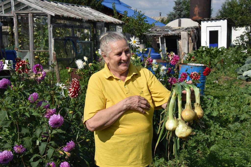 Соблюдая все особенности выращивания лука, можно получить такой отменный урожай, как у Нины Хоревой из Горного Щита. Фото: Алексей Кунилов