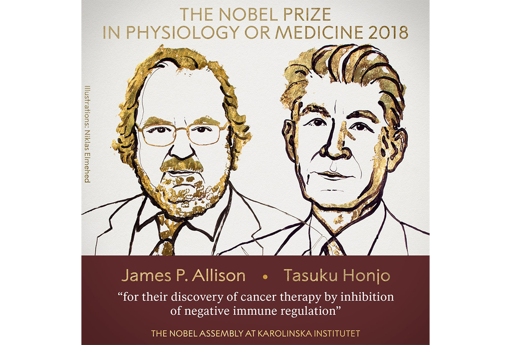 Началась «Нобелевская неделя». Премию в области физиологии и медицины получили Тасуку Хондзё из Японии и Джеймс Эллисон из США. ТВИТТЕР НОБЕЛЕВСКОГО КОМИТЕТА