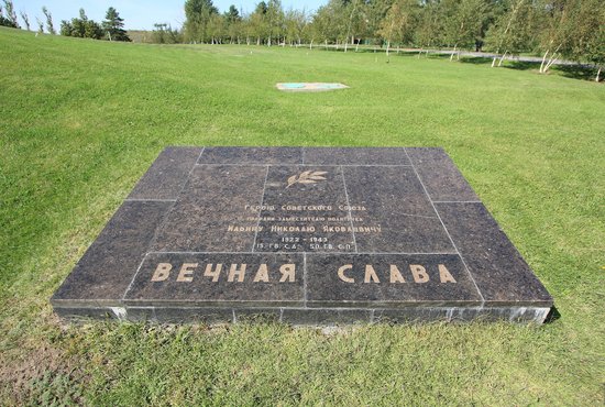 В память о защитниках Сталинграда поднялись на Мамаевом кургане берёзки. Автор фото неизвестен.