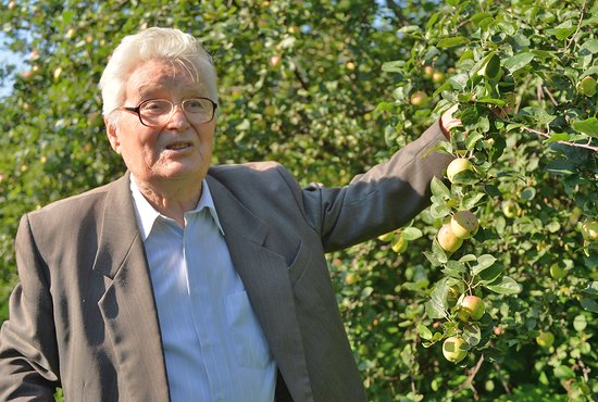 Леонид Котов создал более 50 сортов яблони, сейчас ему 88 лет, но он продолжает вести научную работу на Свердловской селекционной станции садоводства. Фото: Павел Ворожцов
