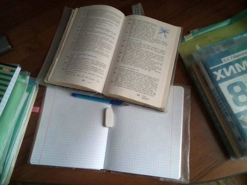 Тетрадь, учебник  и ручка – предметы, которые выпускники школ практически  не выпускают  из рук... Фото:  Михаил Тёткин