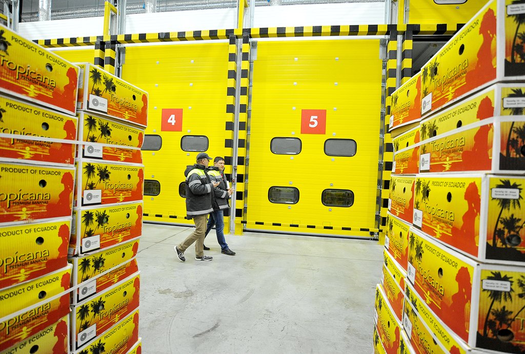 Распределительный центр «Екатеринбург» торговой сети X5 Retail Group — крупнейший  в стране. Например, для для дозревания зелёных эквадорских бананов предусмотрены особые камеры газации, их пропускная способность —  90 тонн в сутки. Фото: Павел Ворожцов