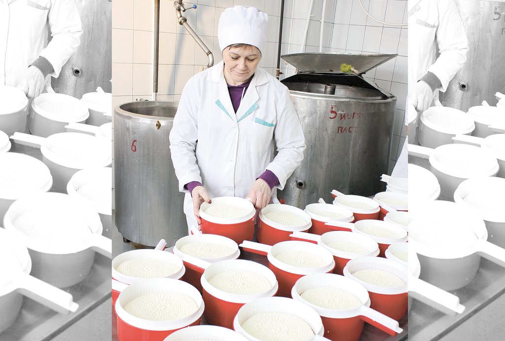 В прошлом году на заводе начали производство адыгейского сыра. Фото:«Коммунар»