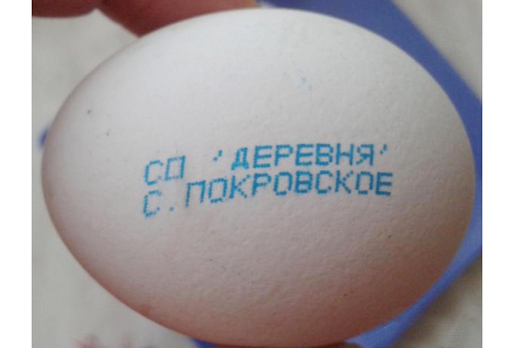 Сейчас Нижнетагильская птицефабрика работает на голландском кроссе Декалб, несушки которого дают белое яйцо