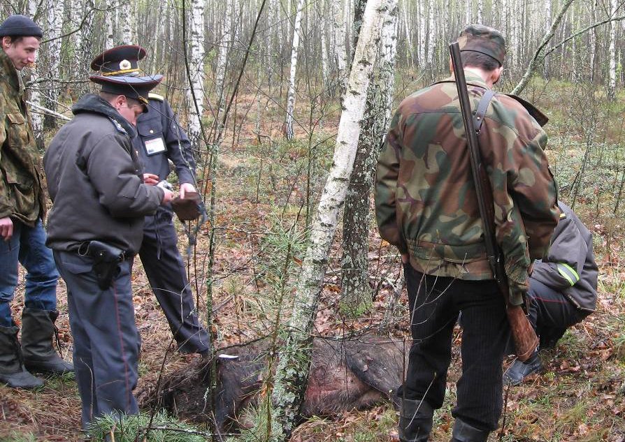 Картина ясная — браконьеры пойманы с поличным. Фото с сайта forum.guns.ru