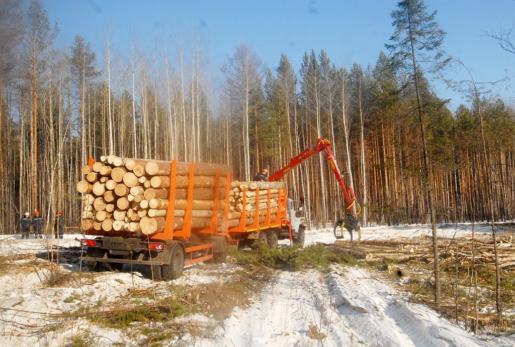 Одна из типичных схем вывода средств за рубеж связана  с поставками леса и невозвращением выручки. Фото: Александр Зайцев
