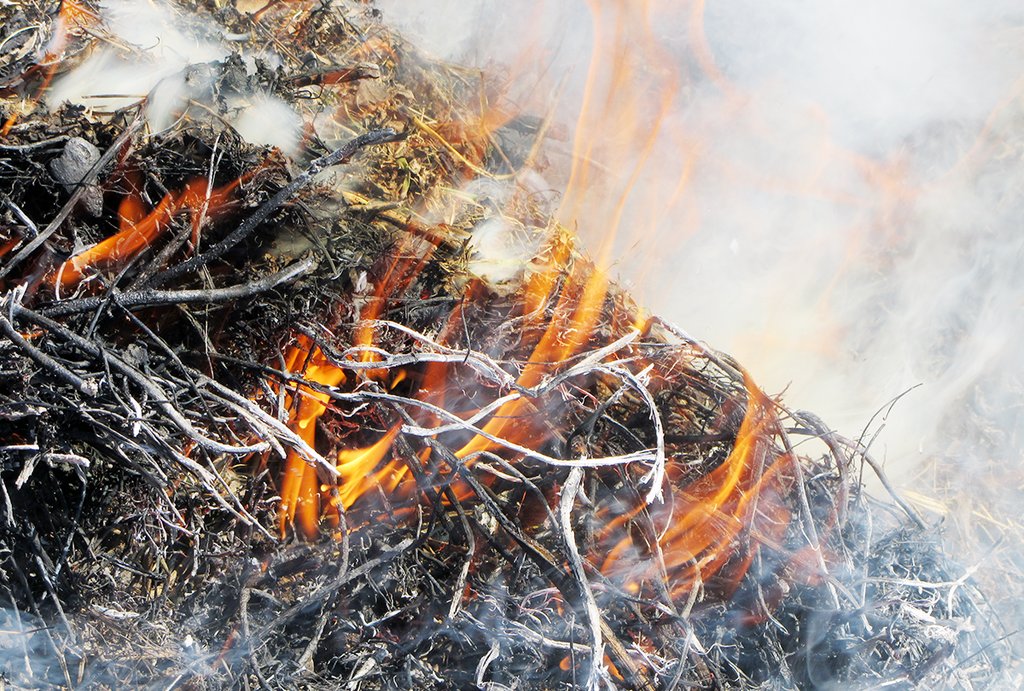 Сжигание садового мусора по старинке может быть сегодня накладным из-за штрафов. Фото: Алексей Кунилов