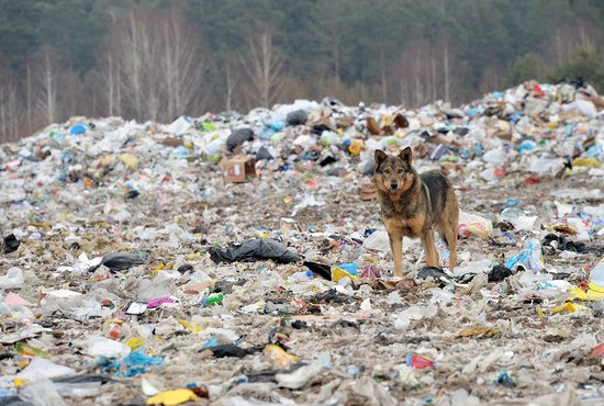 Фото: Павел Ворожцов