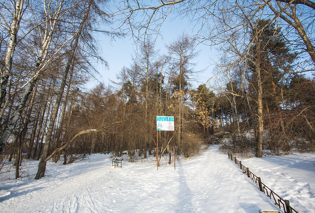 Шарташский лесопарк в Екатеринбурге