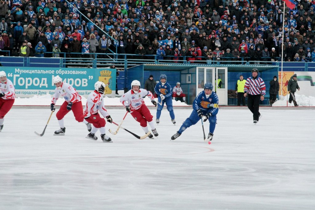 В Сибири хоккей с мячом всегда собирает аншлаги. Фото с сайта ХК "Родина"