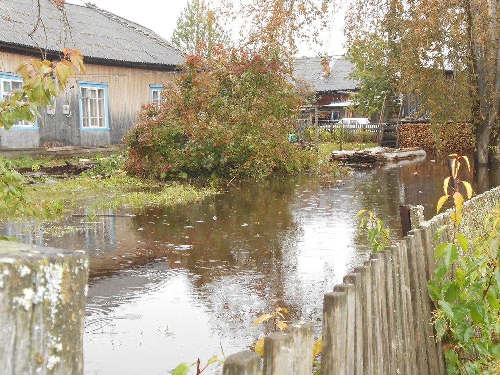 Вода затопила огороды, и у многих жителей Лобвы спасти свой урожай так и не получилось. Фото: Елена Зворыгина