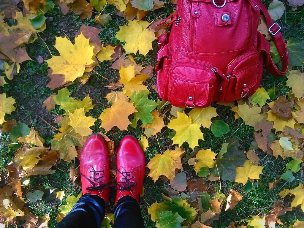 Осень, рюкзак