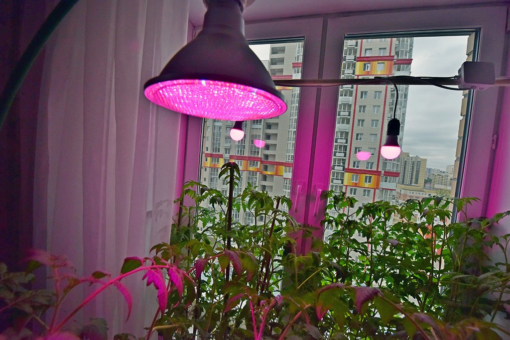 Светодиодная лампа для освещения растений и подсветки рассады EasyGrow BAR Slim 12W (CREE)