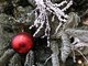 Встречаем 20-метровую ёлку и готовимся к Новому году: пять идей для нескучного уик-энда в Екатеринбурге на 8-9 декабря. Фото: Нина Георгиева