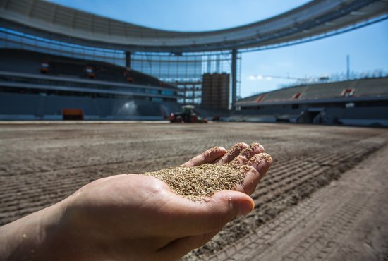 Всего  на Центральном стадионе будет засеяно около  400 килограммов семян. Фото: Владимир Мартьянов
