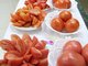 Селекцию томата в УрГАУ начали четыре года назад, ведётся она во взаимодействии с ведущими селекционными фирмами страны. Фото: Михаил карпухин