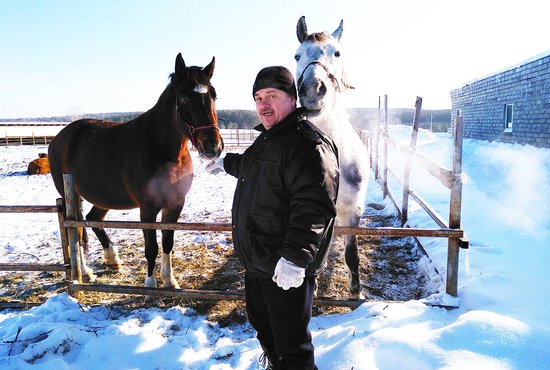 На ферме Павла Носова – две взрослые лошади и кобылка-подросток Белочка. Фото: Галина Соколова