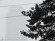 Синоптики сообщают: за первые февральские снегопады в Екатеринбурге уже выпало 140 процентов месячной нормы осадков Фото: Владимир Мартьянов
