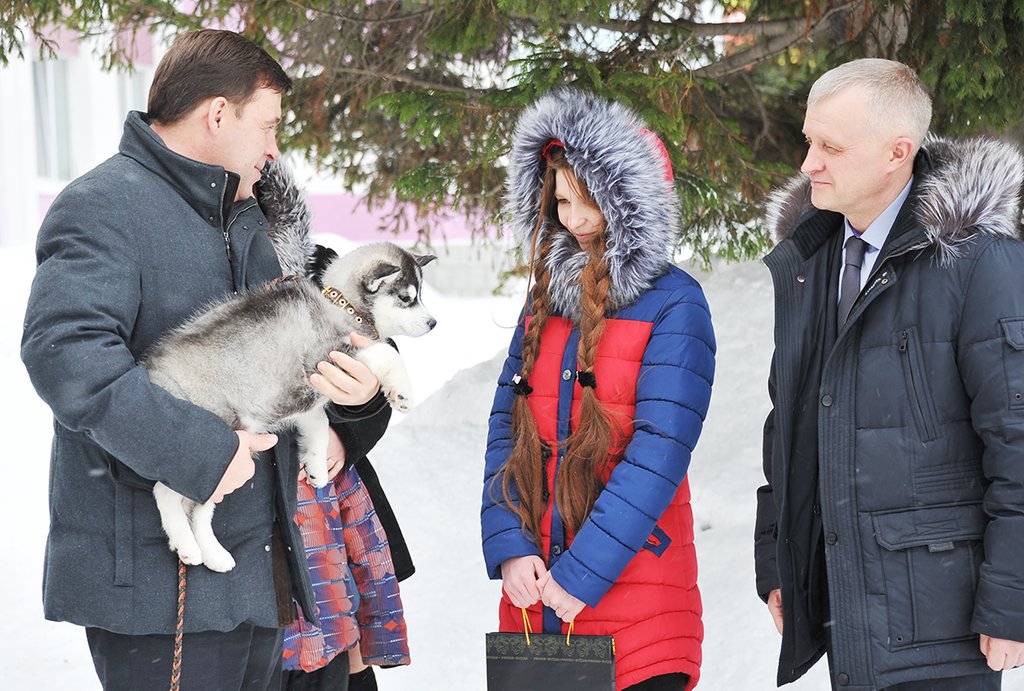 Полина Якимова в письме к главе региона объяснила,  что давно мечтает о собаке, но её семье не хватает денег  на породистого щенка. Фото: Павел Ворожцов