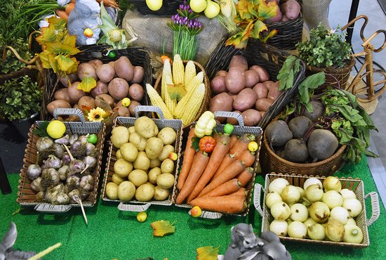 Хорошие новости: для того чтобы быть здоровым, не надо день и ночь есть одни овощи. Питание должно быть сбалансированным. Фото: Алексей Кунилов
