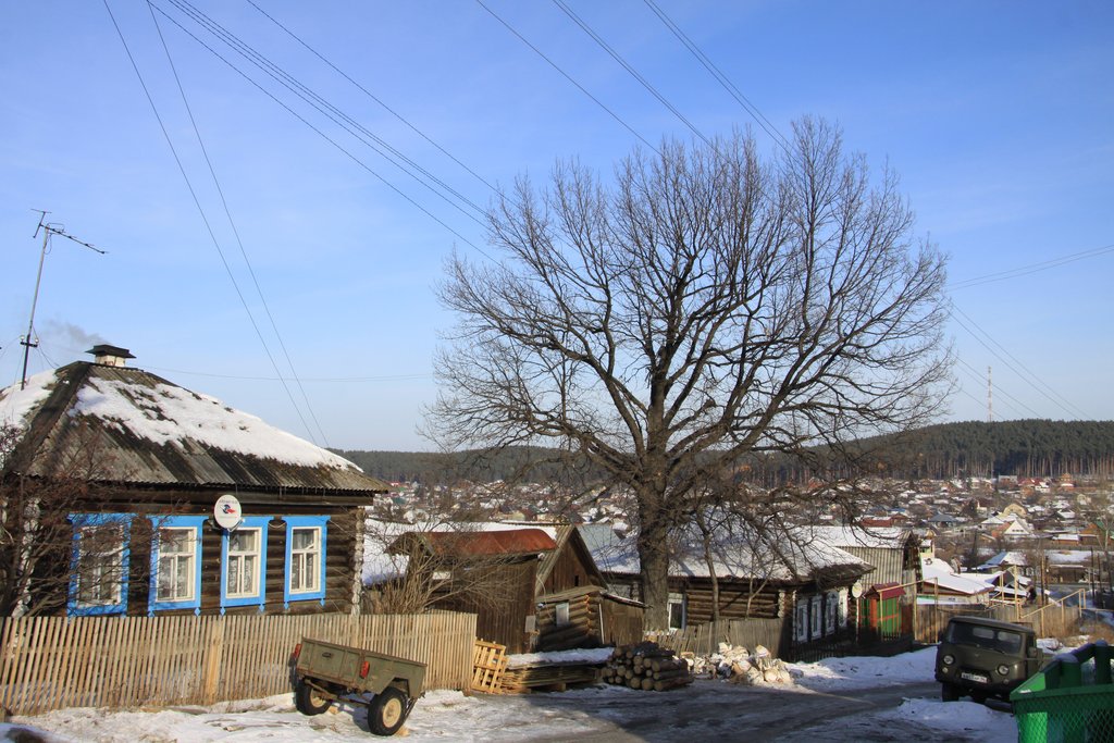 Самый старый дуб Среднего Урала растет в Сысерти,  в переулке Садовом. Дерево было посажено в 1860 году (то есть сейчас ему 152 года). Этот ботанический памятник природы находится под охраной. Фото Владимира Саппинена. 