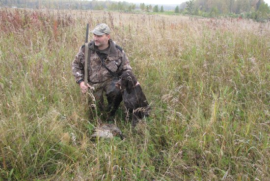 Охотник подстрелил утку, а собака принесла, оба довольны. Фото: Станислав Богомолов