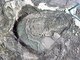 «Аномалия» оказалась не воронкой от метеорита, а старицей реки. Фото: Google Earth.