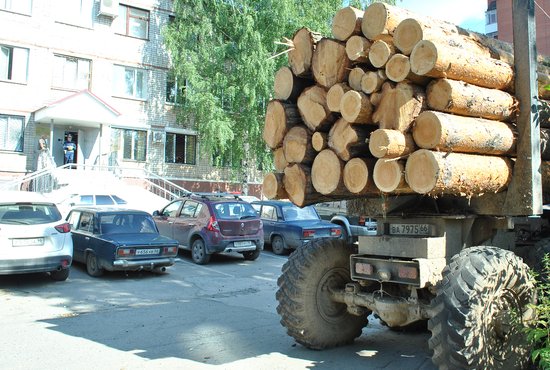 Задержанные лесовозы возле полиции – привычное дело. Фото: Сергей Стуков