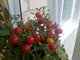 Выращивать помидоры лучше с южной или восточной стороны квартиры. Когда растение поднимется на 10 см, нужно воткнуть рядом полуметровую палку, а позже подвязать к ней стебель. Фото: Павел Зубков