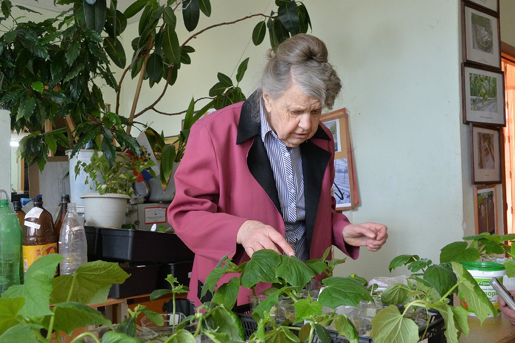 Анна Юрина: «Садоводам стоит более осмотрительно использовать минеральные удобрения для рассады». Фото: Павел Ворожцов