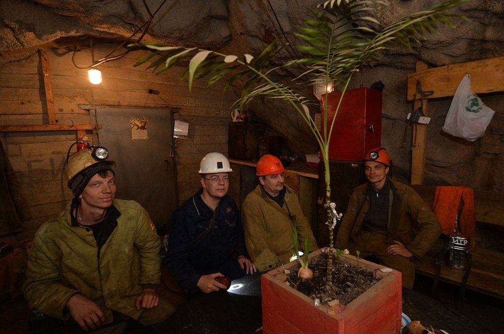 Самая глубоко растущая финиковая пальма в мире находится в импровизированной комнате отдыха шахты «Южная» Берёзовского рудника на глубине 371 метр от нулевой отметки. Фото:  Павел Ворожцов