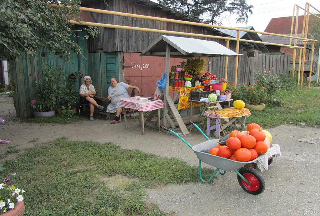  Продавать выращенные плоды и ягоды на рынке возьмётся не каждый, а отдать их в учреждения даже даром не так-то просто. Фото: Алексей Кунилов