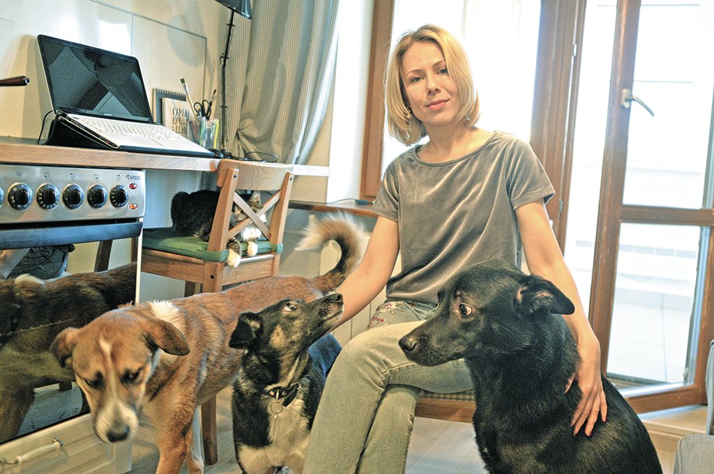 При четырёх собаках в доме все «разрушения» учиняет ... кот. Фото: Павел Ворожцов