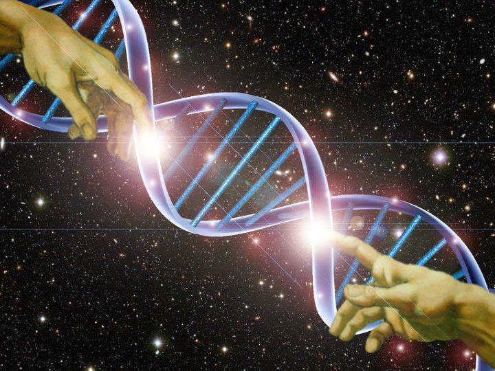 Учёные уверены: всё, что происходит с человеком, — результат работы его генов. Даже любовь. Фото: dnkworld.ru