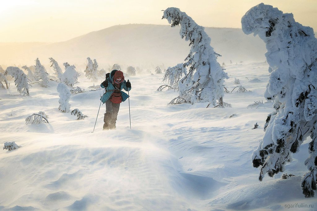 Примечательно,  что на этой фотографии человек идёт на лыжах, но  из-за того, что ветер переметает снег — этого  не видно. Фото: Сергей Гарифуллин