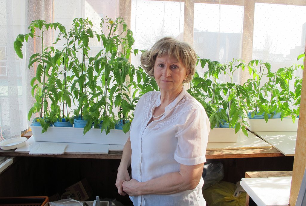 Уже сейчас на помидорной рассаде Лидии Грошевой появились первые цветки. Фото: Рудольф Грашин