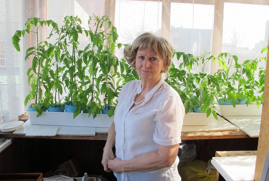 Уже сейчас на помидорной рассаде Лидии Грошевой появились первые цветки. Фото: Рудольф Грашин