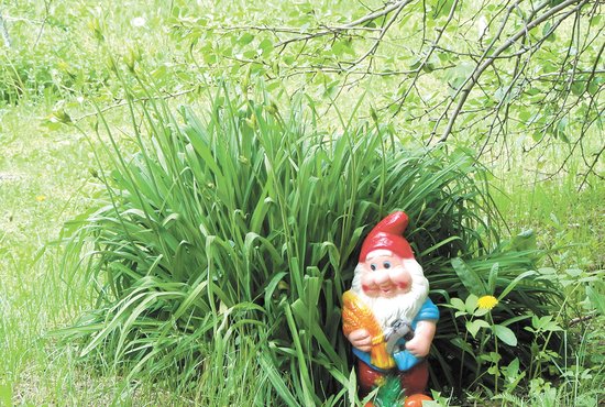 Традиционный образ гномов для сада — в красном колпаке,  с бородой, с садовым инструментом. Фото: Алексей Кунилов
