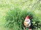 Традиционный образ гномов для сада — в красном колпаке,  с бородой, с садовым инструментом. Фото: Алексей Кунилов