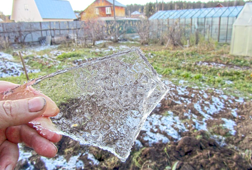С влагозарядковым поливом садоводам стоит поторопиться, пока земля не покрылась ледяной коркой. Фото: Алексей Кунилов
