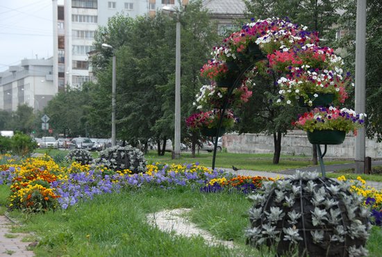 Комиссия будет рассматривать результаты определения индекса качества городской среды в российских субъектах. Фото: Александр Зайцев