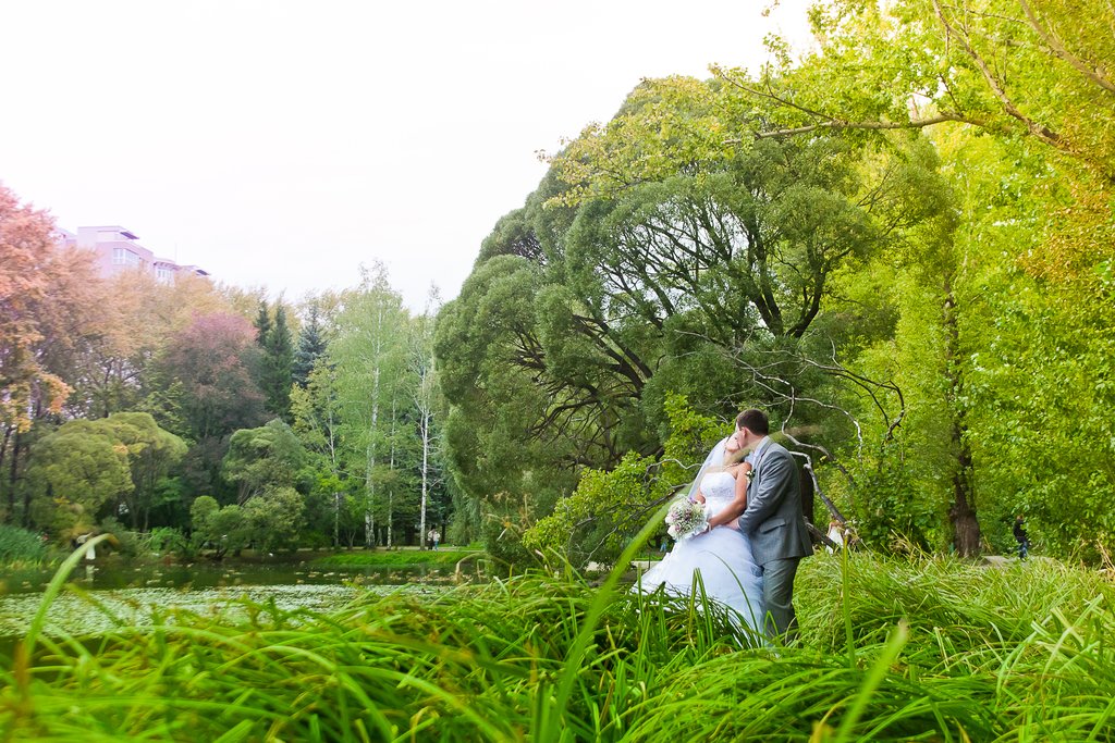 жених и невеста в парке